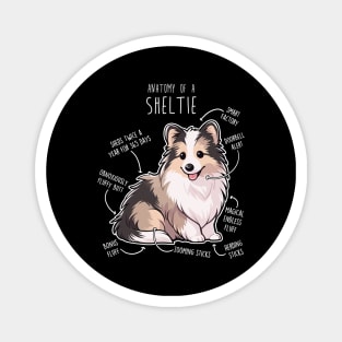 Sheltie Shetland Sheepdog Anatomy Magnet